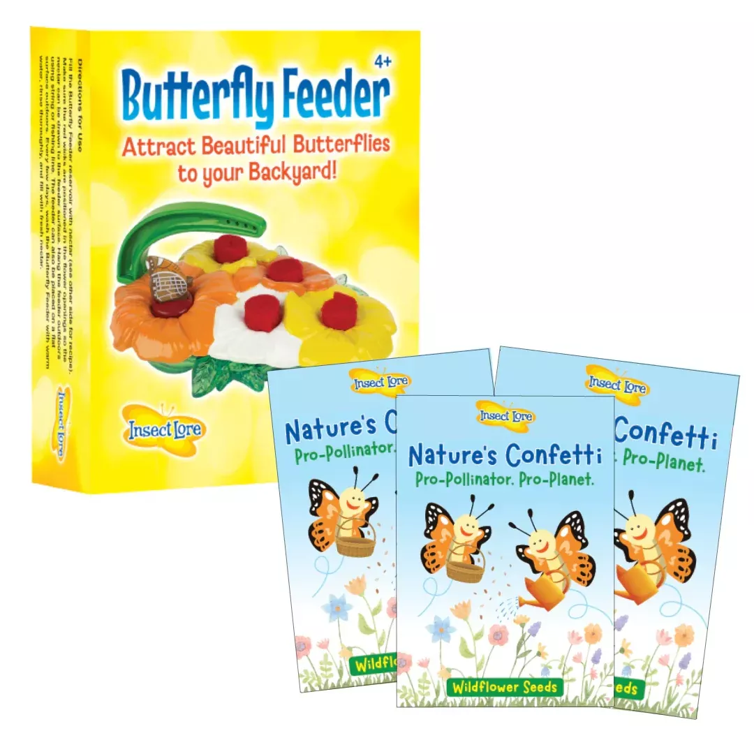 Deluxe Butterfly Feeder