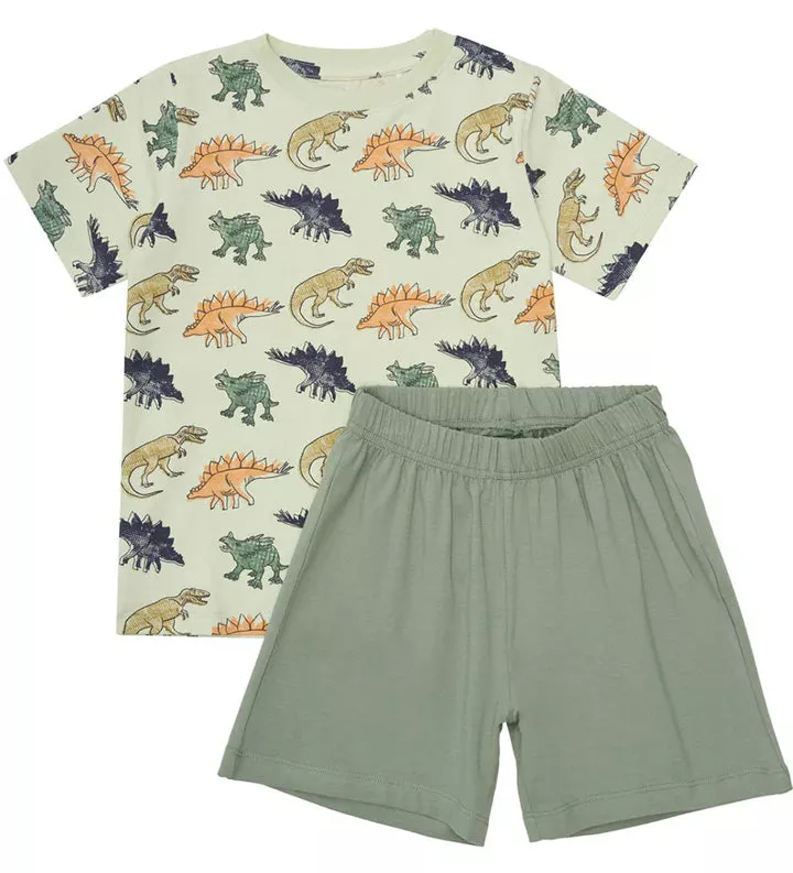 Minymo Dinosaur T-Shirt Set
