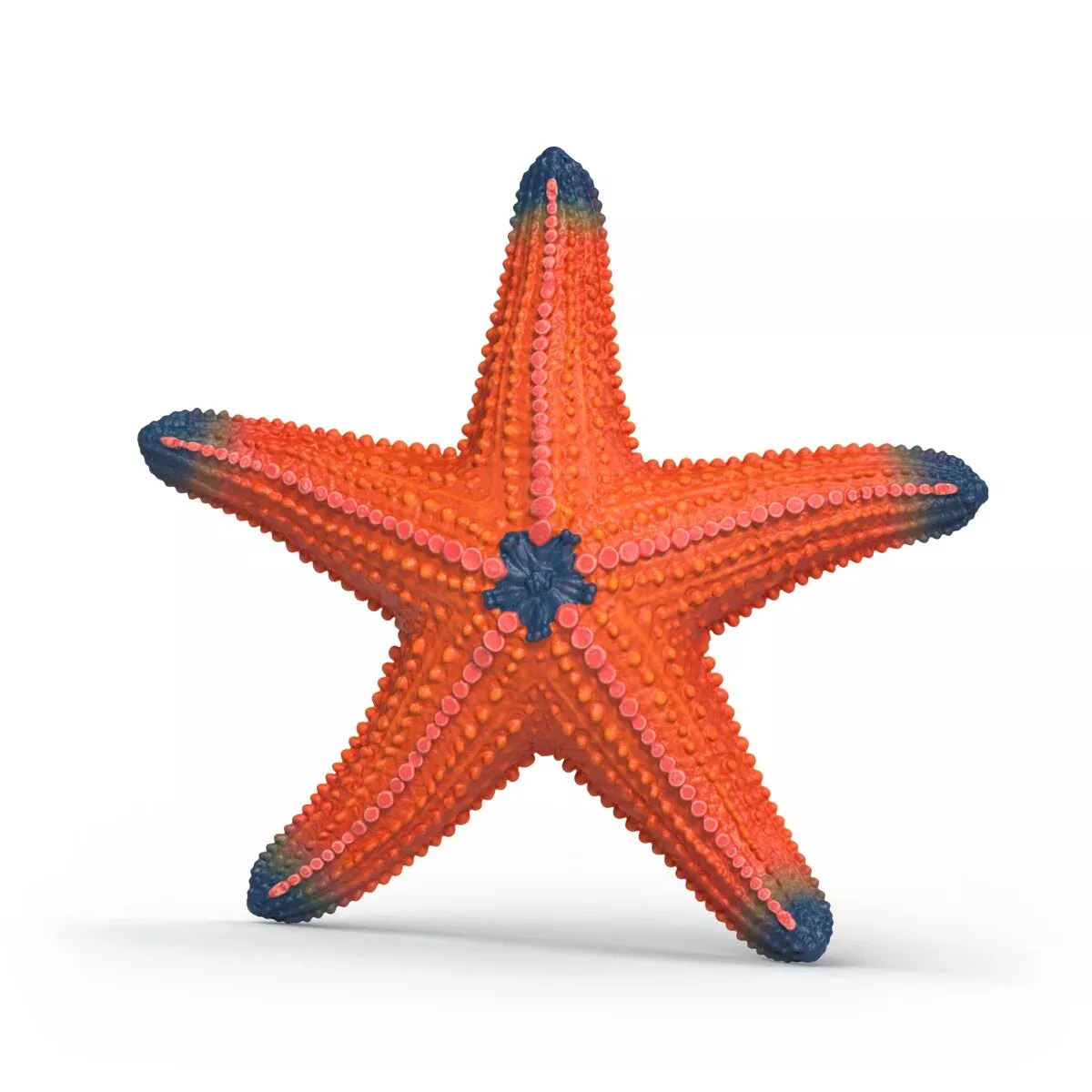 Schleich Wild Life Color Changing Starfish Animal Figurine