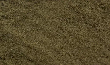 Woodland T4642 Pollen Brown