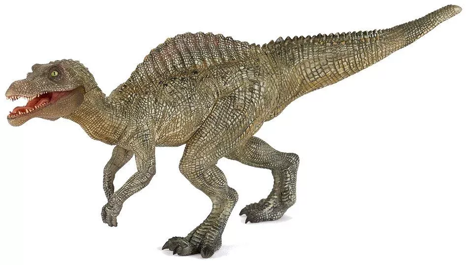 Young Spinosaurus